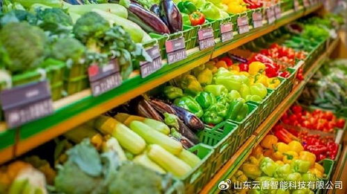 农药残留与消杀用品检测设备概览
